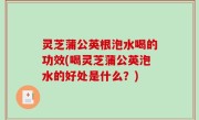灵芝蒲公英根泡水喝的功效(喝灵芝蒲公英泡水的好处是什么？)
