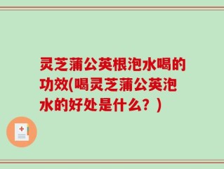 灵芝蒲公英根泡水喝的功效(喝灵芝蒲公英泡水的好处是什么？)