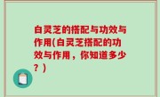 白灵芝的搭配与功效与作用(白灵芝搭配的功效与作用，你知道多少？)