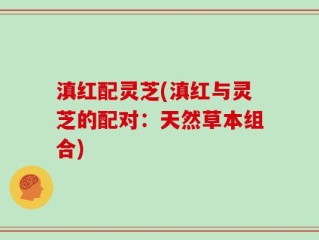 滇红配灵芝(滇红与灵芝的配对：天然草本组合)
