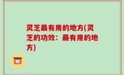 灵芝最有用的地方(灵芝的功效：最有用的地方)