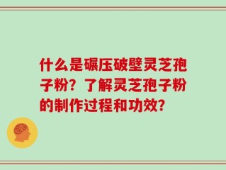 什么是碾压破壁灵芝孢子粉？了解灵芝孢子粉的制作过程和功效？