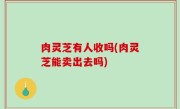 肉灵芝有人收吗(肉灵芝能卖出去吗)