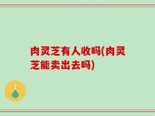 肉灵芝有人收吗(肉灵芝能卖出去吗)