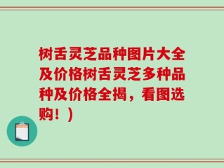 树舌灵芝品种图片大全及价格树舌灵芝多种品种及价格全揭，看图选购！)