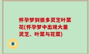 怀孕梦到很多灵芝叶菜花(怀孕梦中出现大量灵芝、叶菜与花菜)