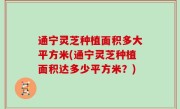 通宁灵芝种植面积多大平方米(通宁灵芝种植面积达多少平方米？)