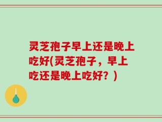 灵芝孢子早上还是晚上吃好(灵芝孢子，早上吃还是晚上吃好？)