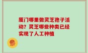厦门哪里做灵芝孢子活动？灵芝哪些种类已经实现了人工种植