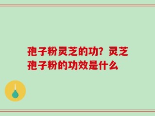 孢子粉灵芝的功？灵芝孢子粉的功效是什么