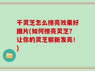 干灵芝怎么擦亮效果好图片(如何擦亮灵芝？让你的灵芝崭新发亮！)