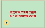 灵芝可以产生几次孢子粉？孢子粉种植全过程
