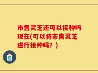 市售灵芝还可以接种吗现在(可以将市售灵芝进行接种吗？)