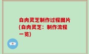 白肉灵芝制作过程图片(白肉灵芝：制作流程一览)