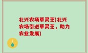 北兴农场草灵芝(北兴农场引进草灵芝，助力农业发展)