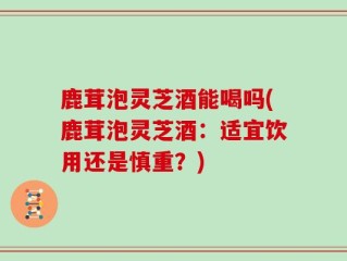 鹿茸泡灵芝酒能喝吗(鹿茸泡灵芝酒：适宜饮用还是慎重？)