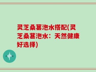 灵芝桑葚泡水搭配(灵芝桑葚泡水：天然健康好选择)