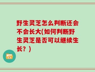 野生灵芝怎么判断还会不会长大(如何判断野生灵芝是否可以继续生长？)
