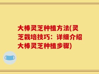 大棒灵芝种植方法(灵芝栽培技巧：详细介绍大棒灵芝种植步骤)