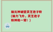 脑元神破壁灵芝孢子粉(脑力飞升，灵芝孢子粉神助一臂！)