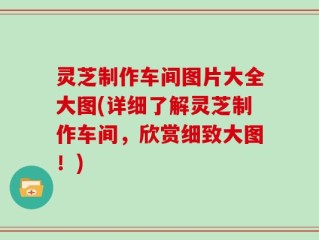 灵芝制作车间图片大全大图(详细了解灵芝制作车间，欣赏细致大图！)