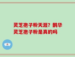 灵芝孢子粉天涯？鹊华灵芝孢子粉是真的吗
