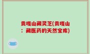 贡嘎山藏灵芝(贡嘎山：藏医药的天然宝库)