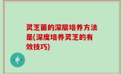 灵芝菌的深层培养方法是(深度培养灵芝的有效技巧)