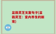 盆栽灵芝文案句子(盆栽灵芝：室内养生的新宠)