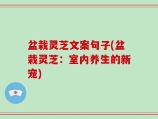 盆栽灵芝文案句子(盆栽灵芝：室内养生的新宠)