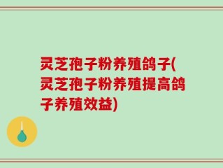 灵芝孢子粉养殖鸽子(灵芝孢子粉养殖提高鸽子养殖效益)
