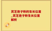 灵芝孢子粉的生长位置_灵芝孢子粉生长位置解析