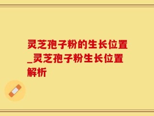 灵芝孢子粉的生长位置_灵芝孢子粉生长位置解析