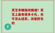 灵芝多糖指纹图谱？灵芝上面有很多小孔，也不怎么结实，说是野生的