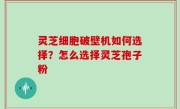 灵芝细胞破壁机如何选择？怎么选择灵芝孢子粉