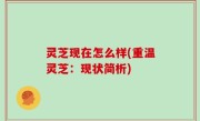灵芝现在怎么样(重温灵芝：现状简析)