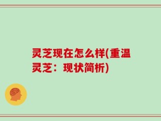 灵芝现在怎么样(重温灵芝：现状简析)