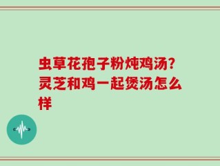 虫草花孢子粉炖鸡汤？灵芝和鸡一起煲汤怎么样