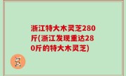 浙江特大木灵芝280斤(浙江发现重达280斤的特大木灵芝)