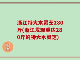浙江特大木灵芝280斤(浙江发现重达280斤的特大木灵芝)