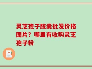 灵芝孢子胶囊批发价格图片？哪里有收购灵芝孢子粉