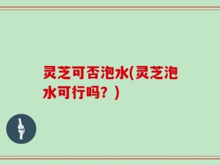 灵芝可否泡水(灵芝泡水可行吗？)