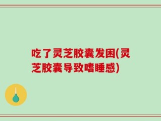 吃了灵芝胶囊发困(灵芝胶囊导致嗜睡感)