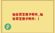 仙谷灵芝孢子粉片_仙谷灵芝孢子粉片：)