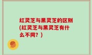 红灵芝与黑灵芝的区别(红灵芝与黑灵芝有什么不同？)