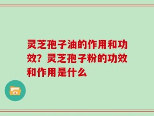 灵芝孢子油的作用和功效？灵芝孢子粉的功效和作用是什么