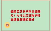 破壁灵芝孢子粉高清图片？为什么灵芝孢子粉去壁比破壁的更好