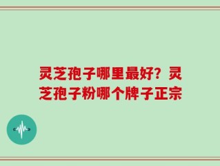 灵芝孢子哪里最好？灵芝孢子粉哪个牌子正宗
