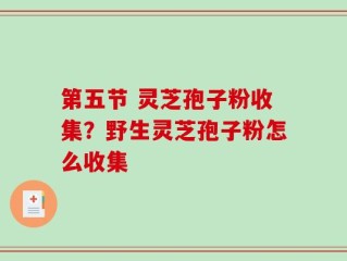 第五节 灵芝孢子粉收集？野生灵芝孢子粉怎么收集