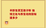 半野生灵芝孢子粉 独特之处与养生功效你知道多少